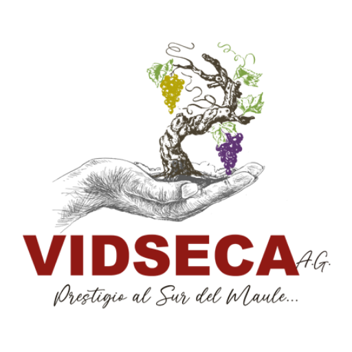 Logo Item