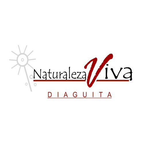 Logo Item